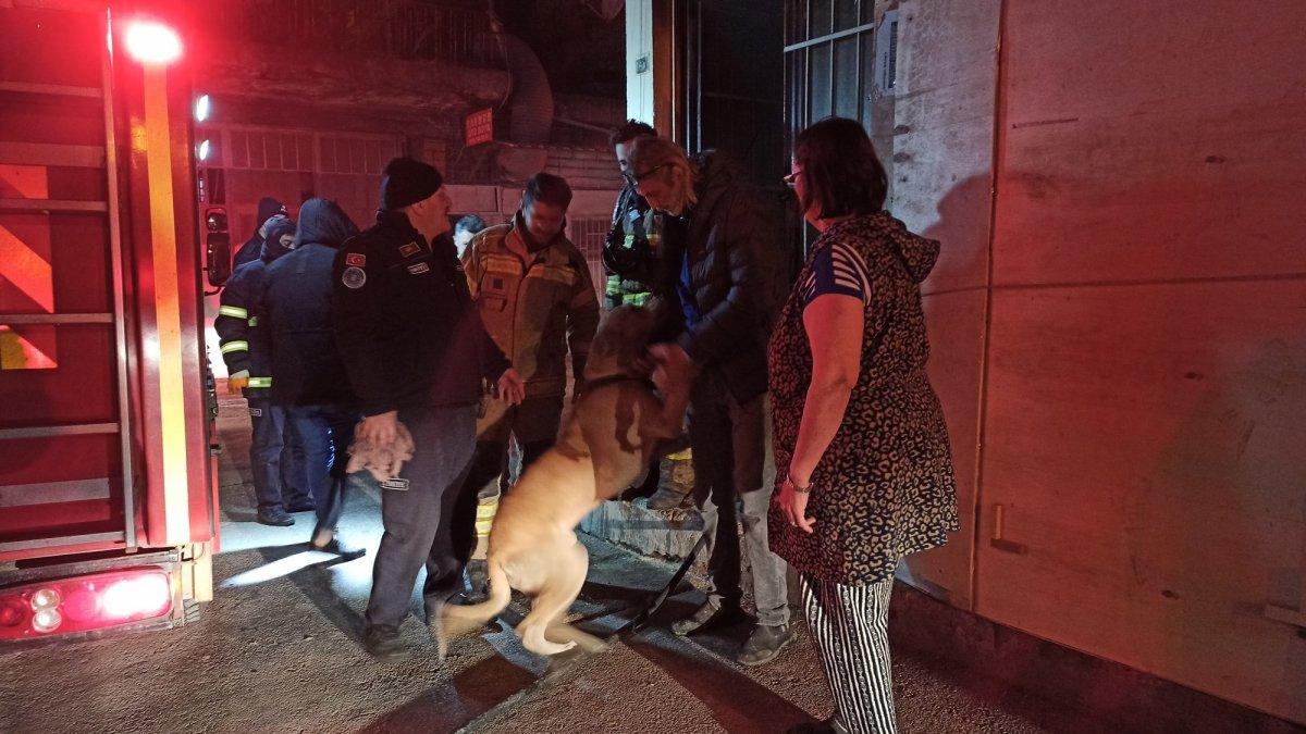 Bursa'da köpeğe kalp masajı yaparak kurtardılar