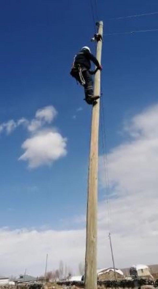 Muş'ta elektrik direğine çıkan kedi mahsur kaldı
