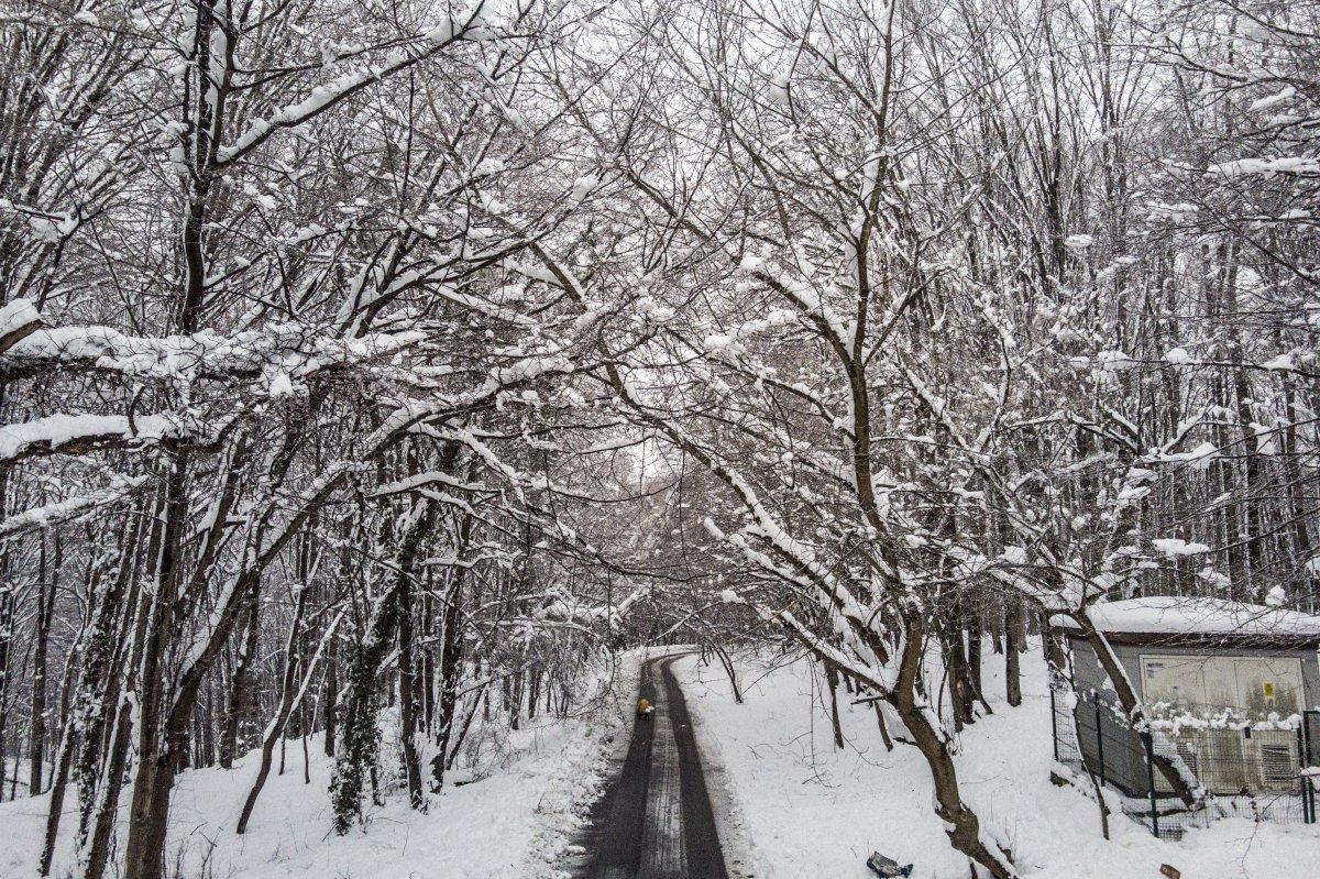 Belgrad Ormanı’nda kartpostallık görüntüler