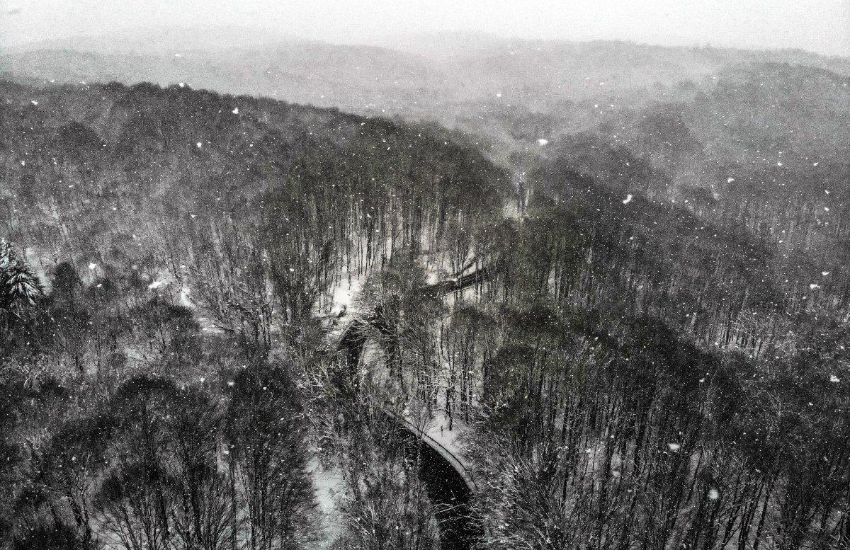 Belgrad Ormanı’nda kartpostallık görüntüler