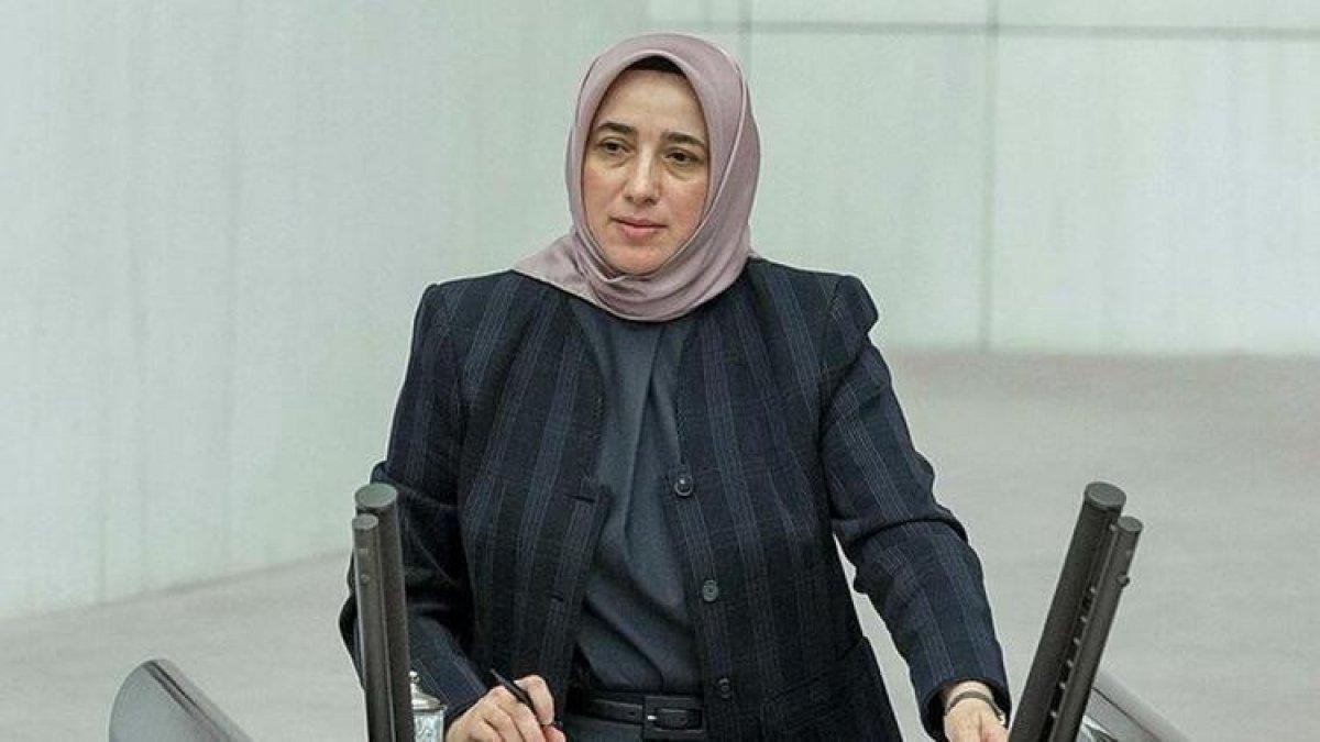 AK Partili Özlem Zengin: Hayvan hakları kanununu kısa süre içinde tamamlayacağız