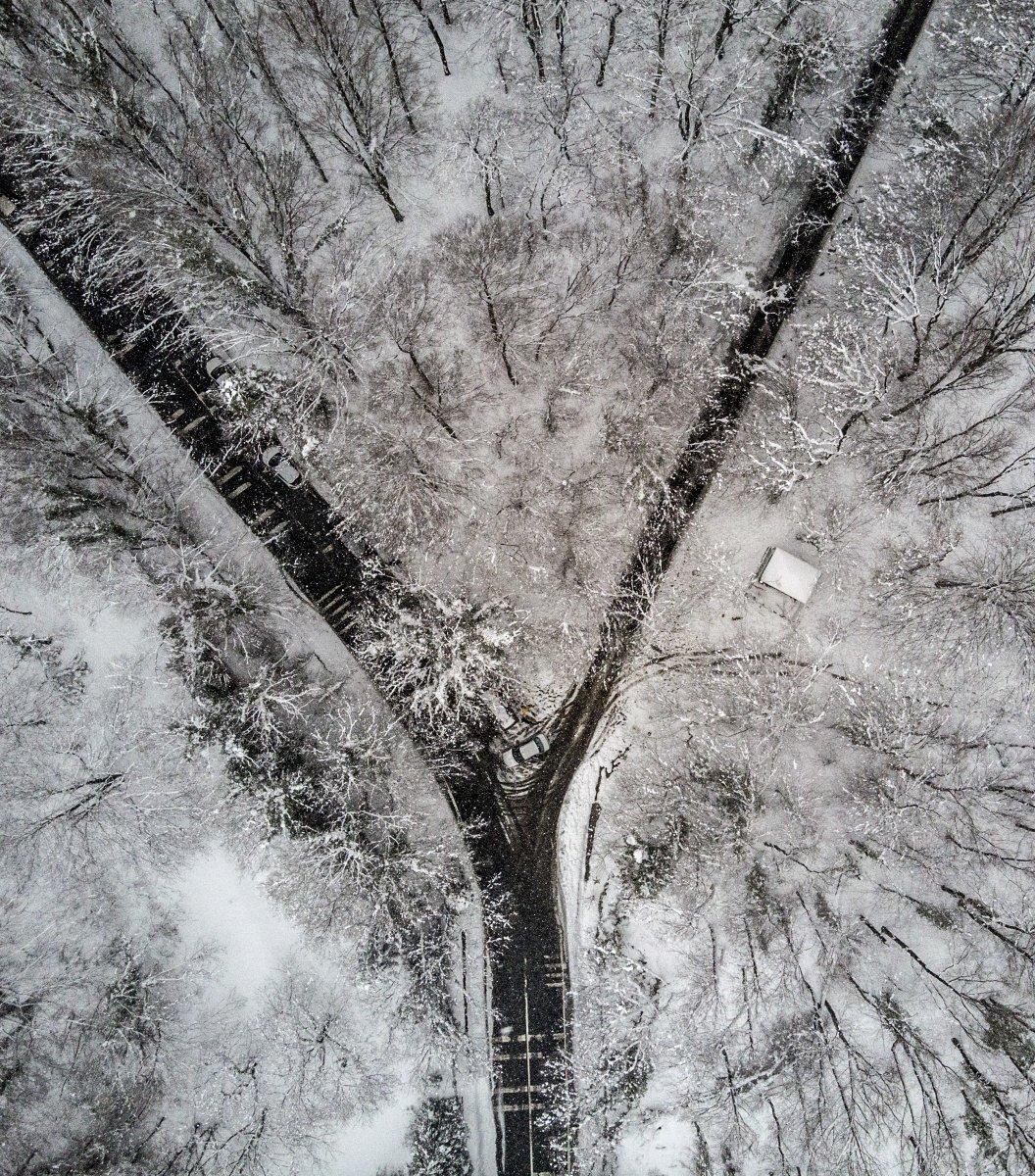 Belgrad Ormanı’nda kartpostallık görüntüler