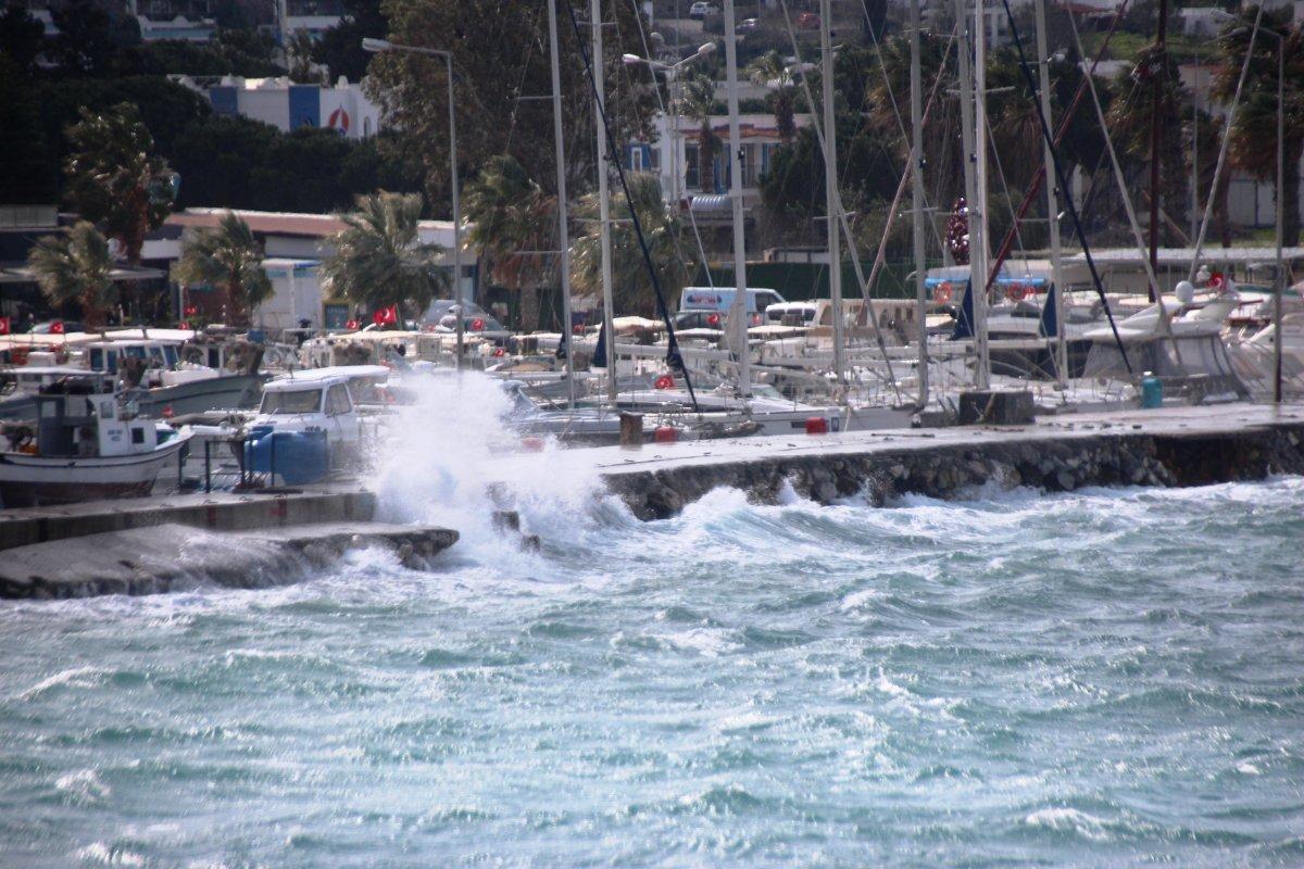 Muğla'da etkili olan fırtına, ağaçları devirip tekneleri batırdı
