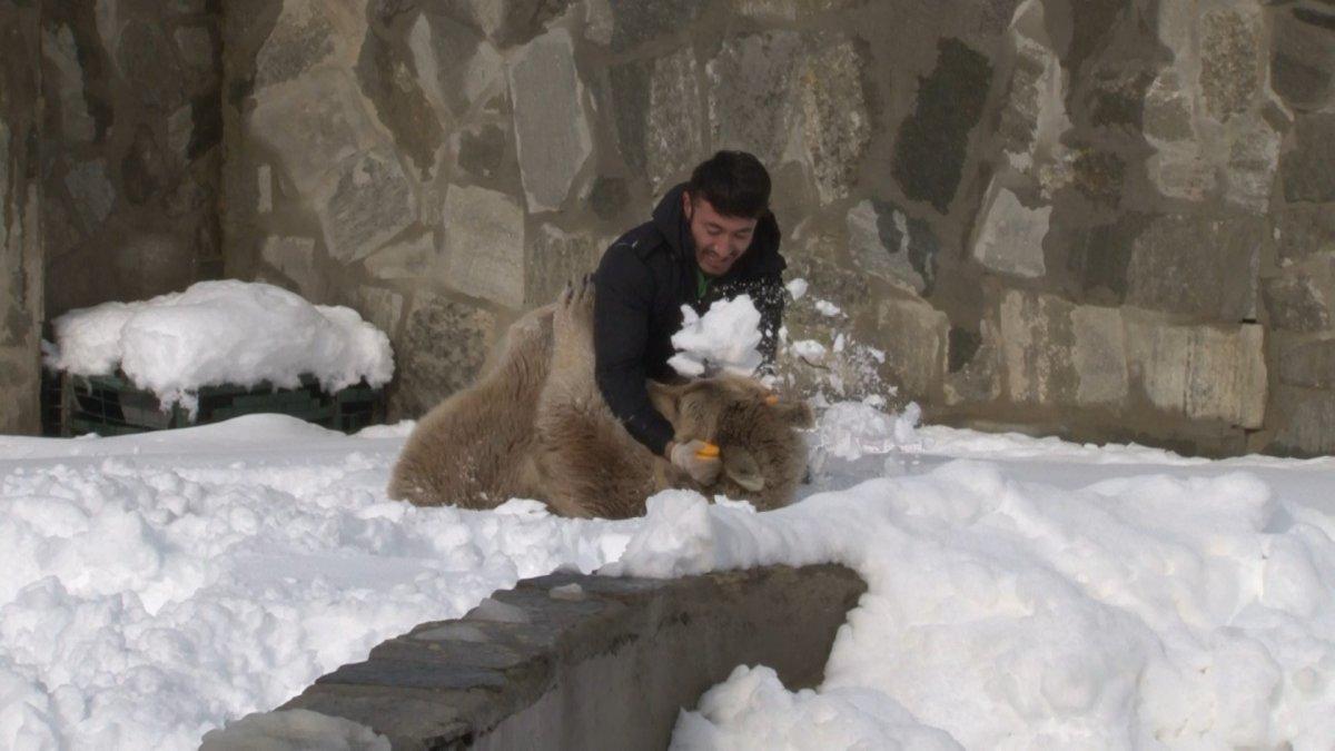 Çekmeköy'de, hayvanat bahçesindeki ayı karın keyfini çıkardı