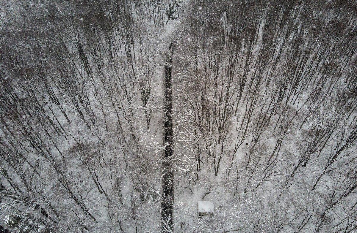 Belgrad Ormanı’nda kartpostallık görüntüler