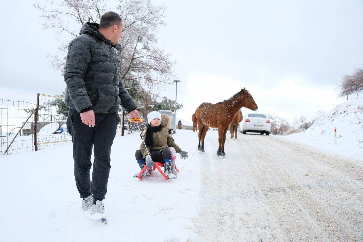 Manisa'da Spil Dağı'na giden minik Kuzey'i, yılkı atı ısırdı