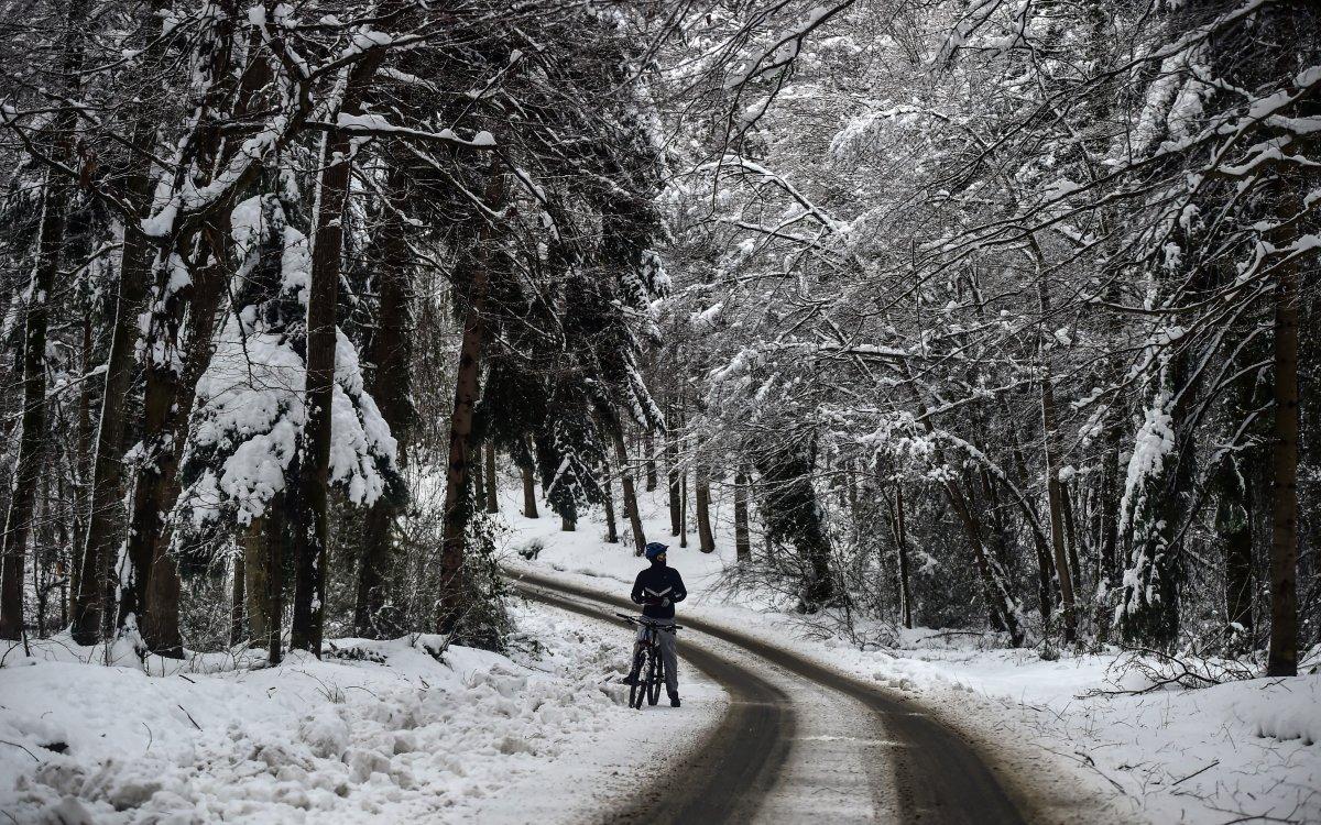 Belgrad Ormanı’nda kartpostallık görüntüler