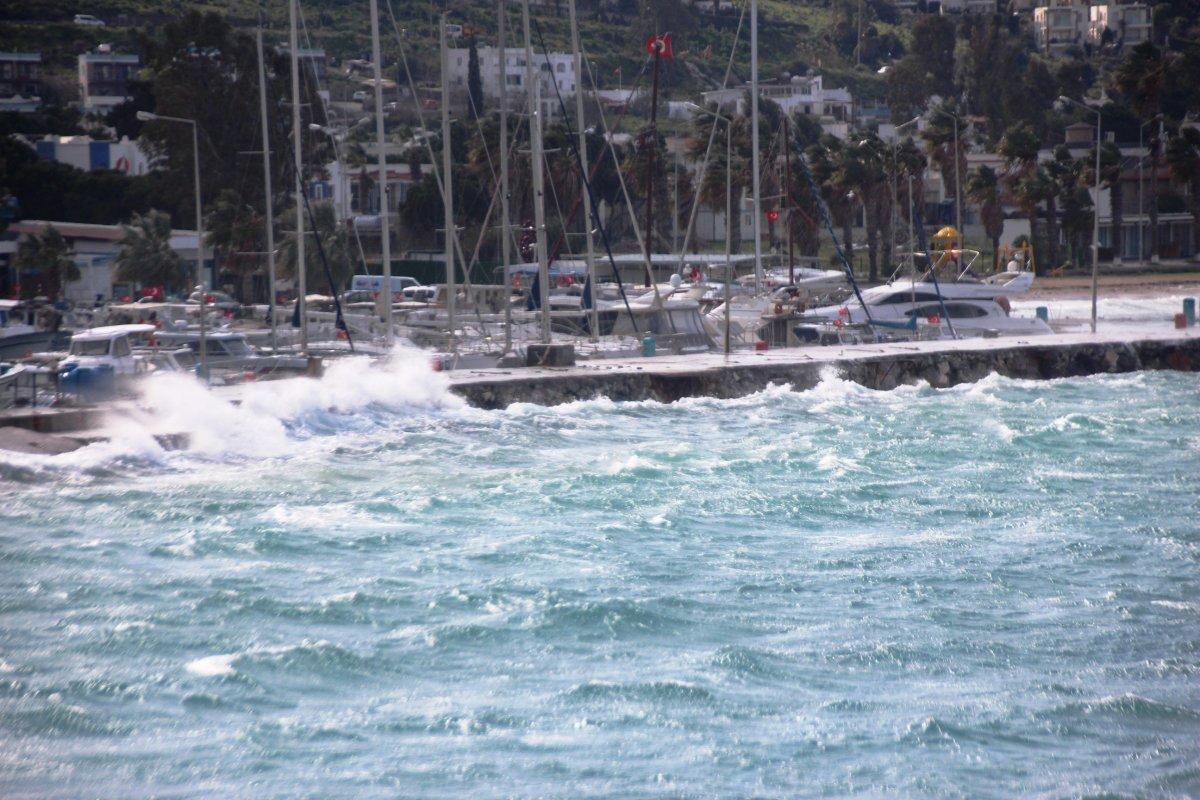 Muğla'da etkili olan fırtına, ağaçları devirip tekneleri batırdı