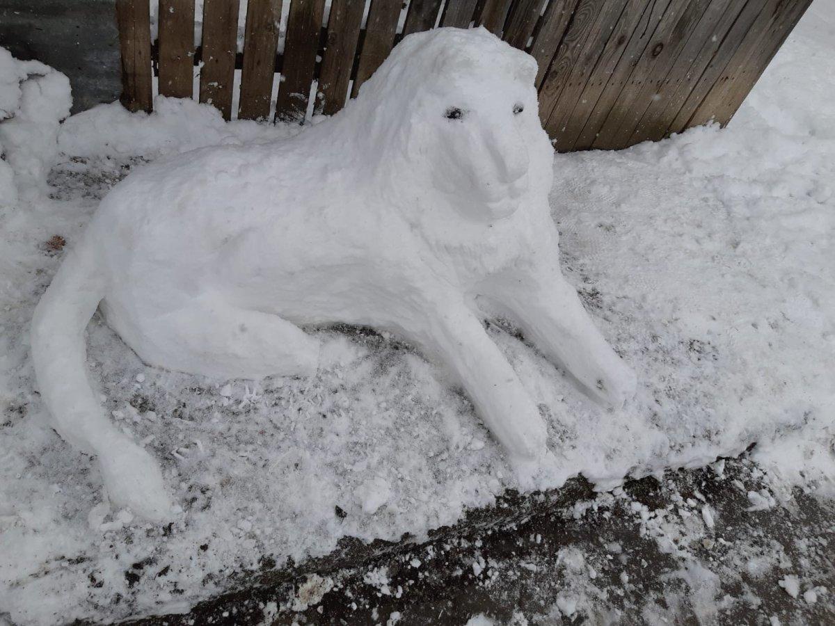 Karabük'te kardan geline kına gecesi yaptılar