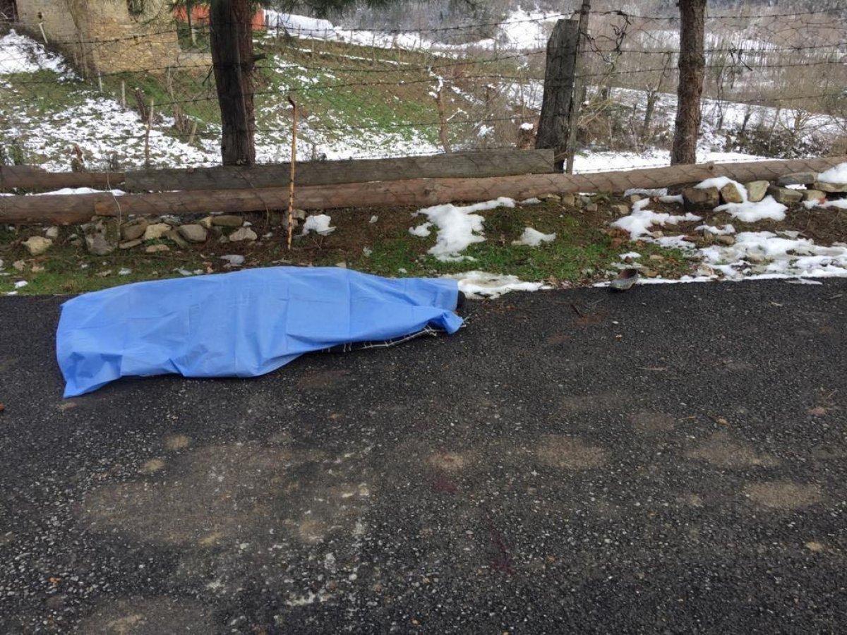 Bartın'da kamyonetin çarptığı kadın hayatını kaybetti