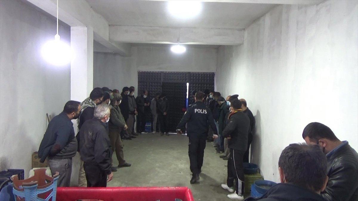 Aydın'da horoz dövüştüren 27 kişi suçüstü yakalandı