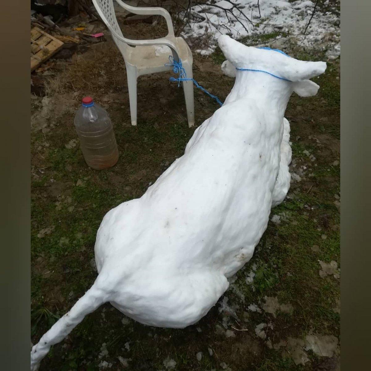 Bursa'da öğretmenin yaptığı kardan boğa