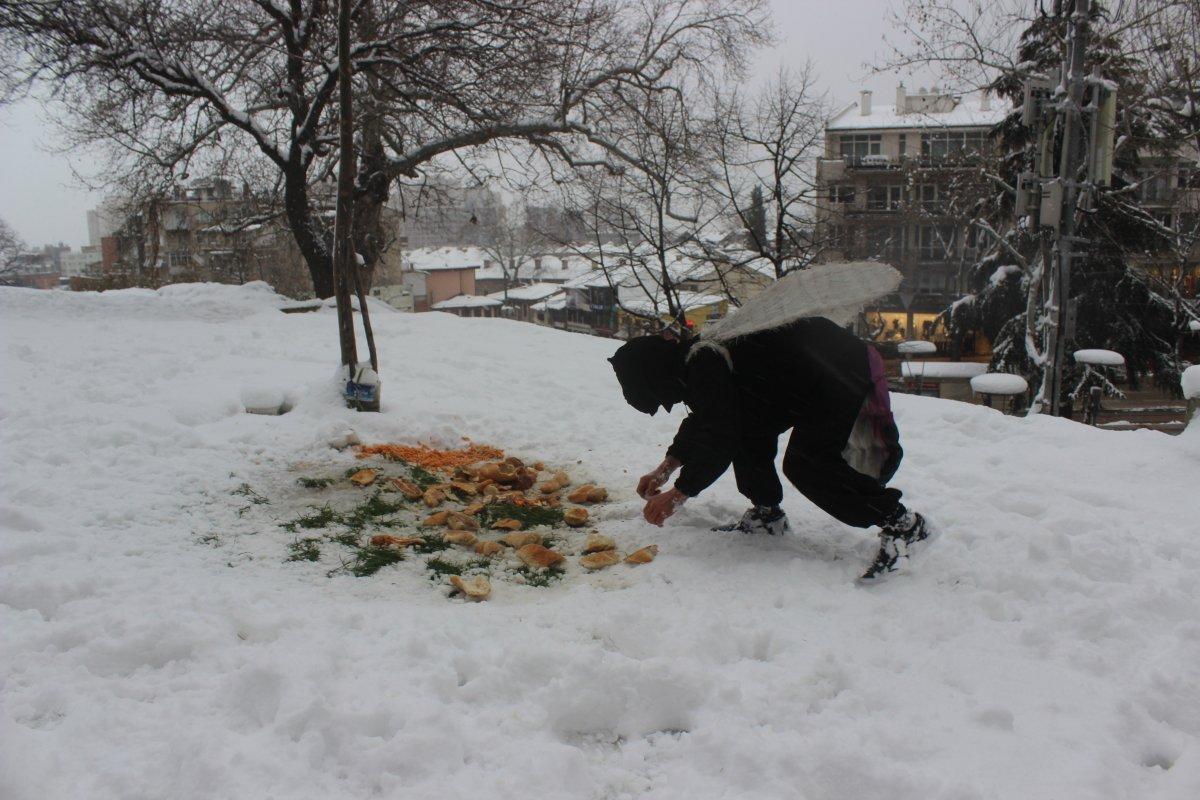 Bursa'da aç hayvanlara dikkat çekmek için arı kılığına girdi