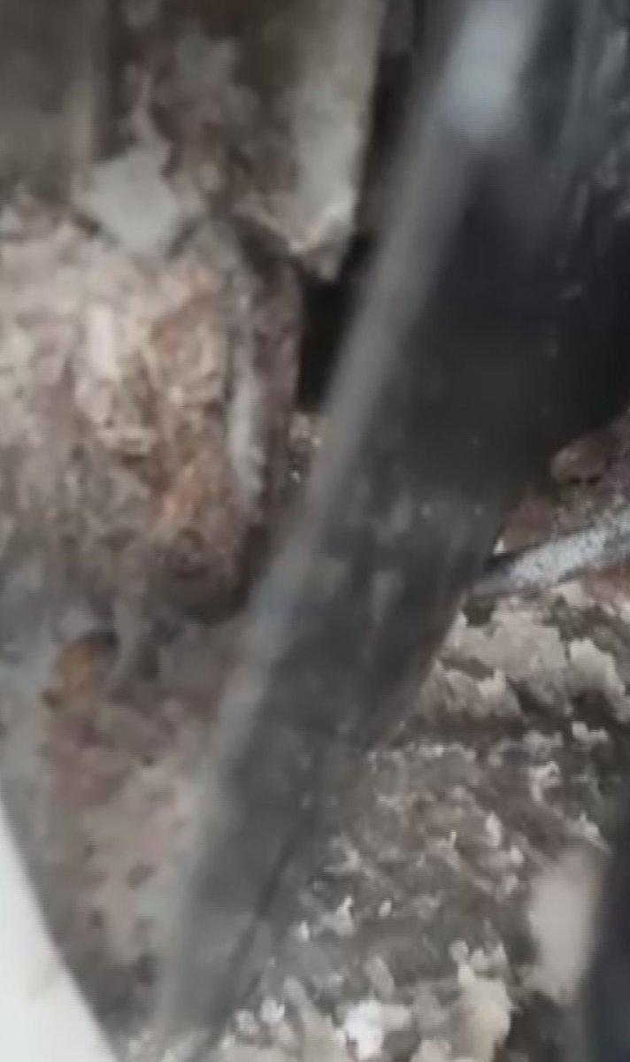 Konya'da otomobilin çamurluğuna gizlenmiş eroin bulundu