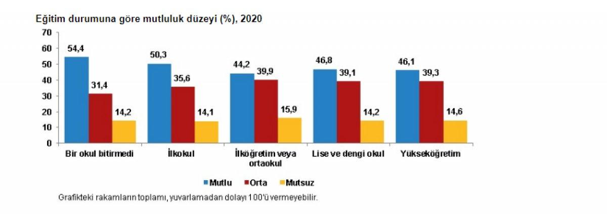 2020 mutluluk anketi