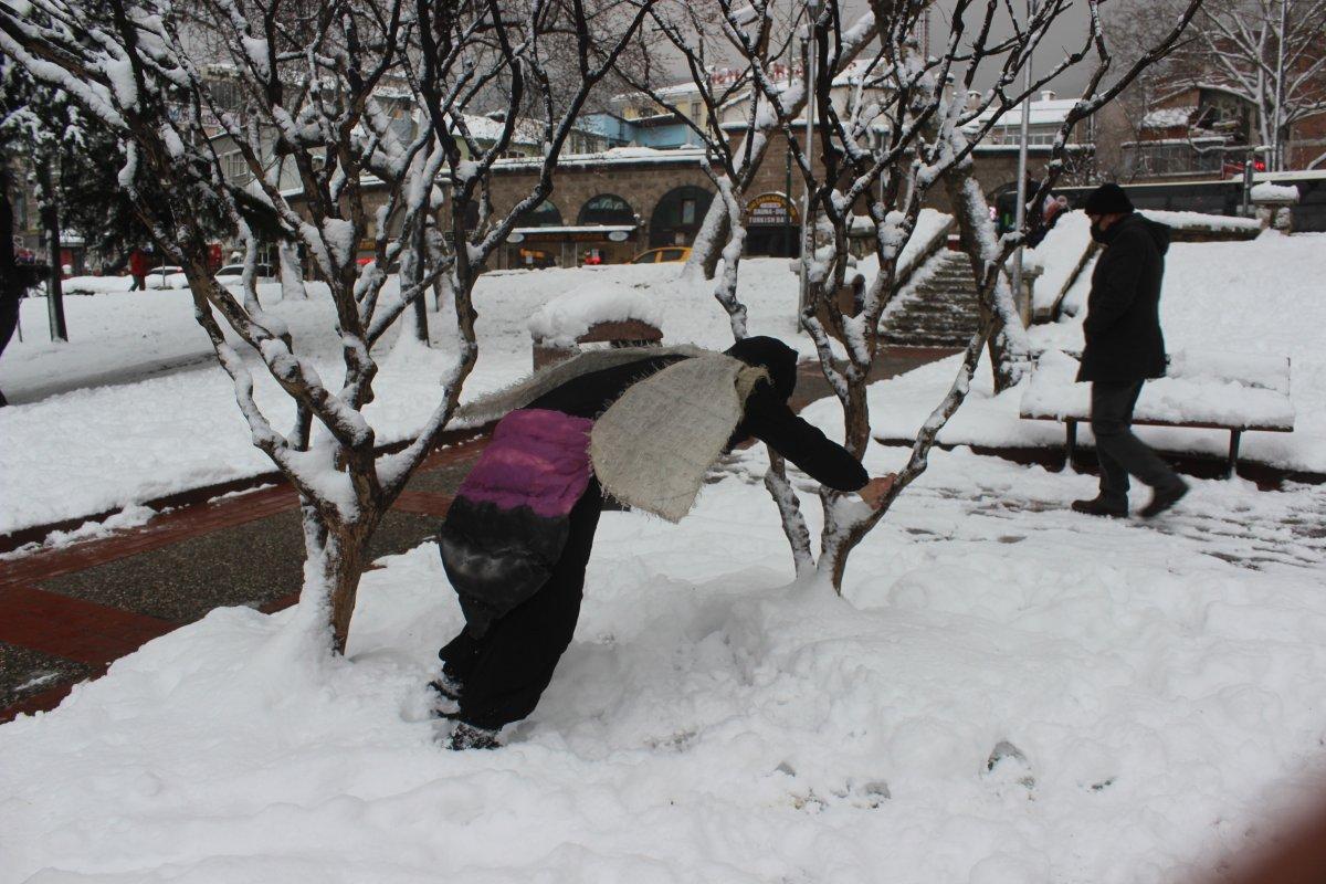 Bursa'da aç hayvanlara dikkat çekmek için arı kılığına girdi