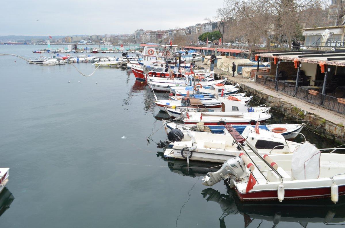 Balıkçıların kabusu 10 yıl sonra Marmara'ya geri döndü