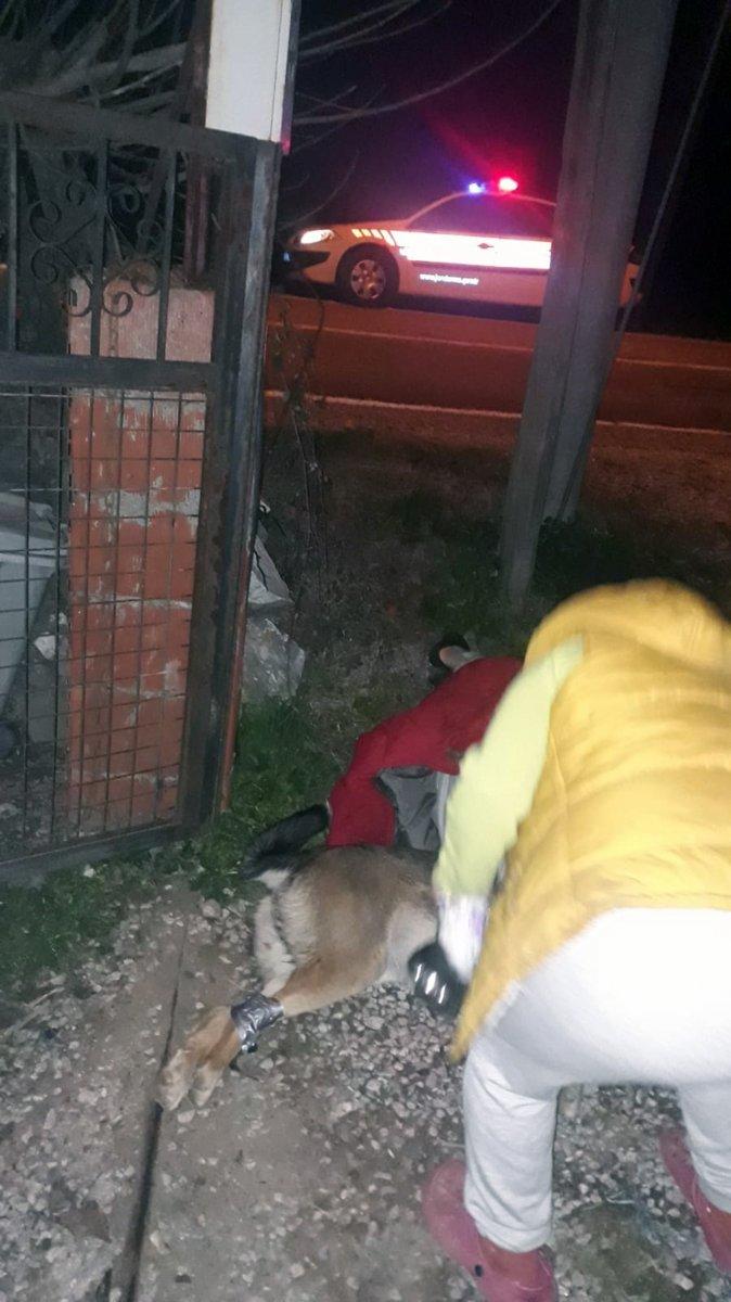 Kurt köpeğinin saldırısına uğrayan vatandaşı jandarma kurtardı