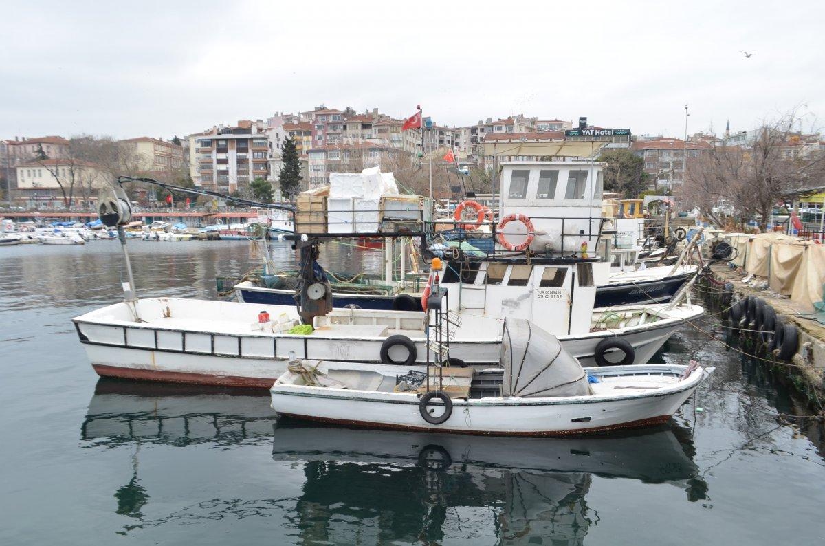 Balıkçıların kabusu 10 yıl sonra Marmara'ya geri döndü