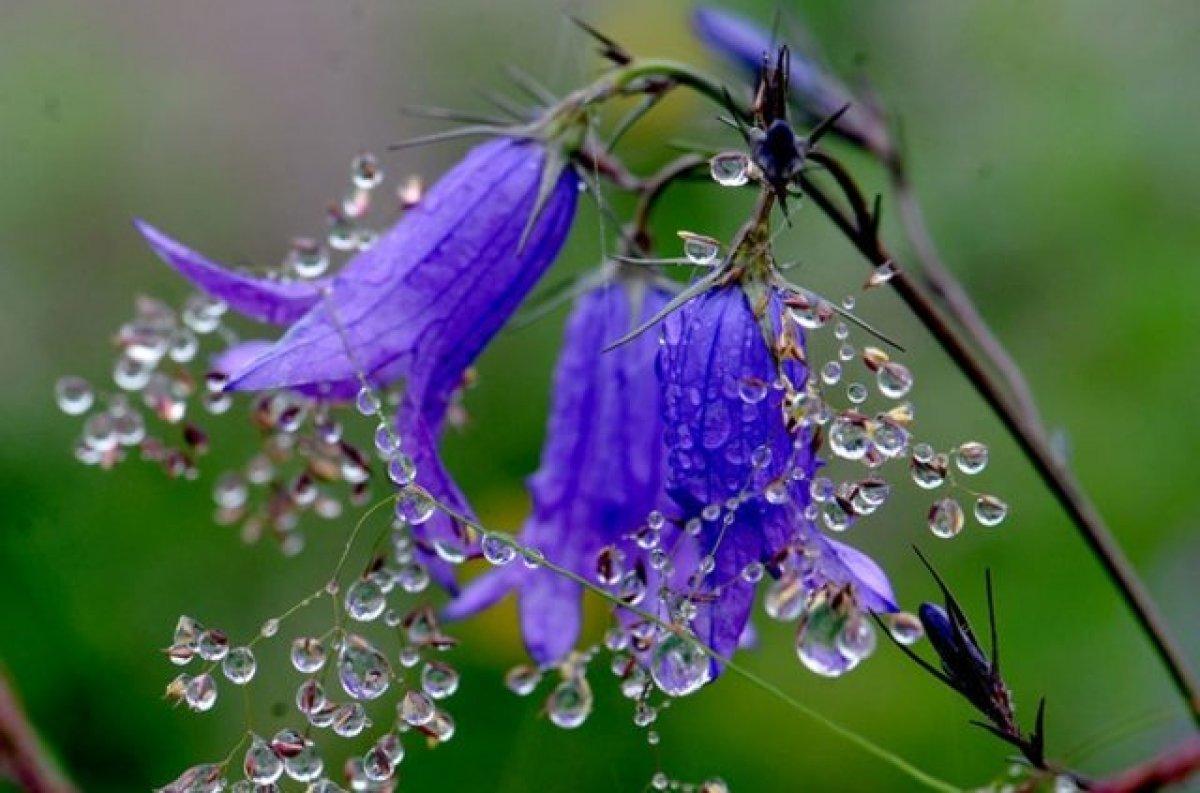 Baharı müjdeleyen ilk ’cemre’ havaya düştü