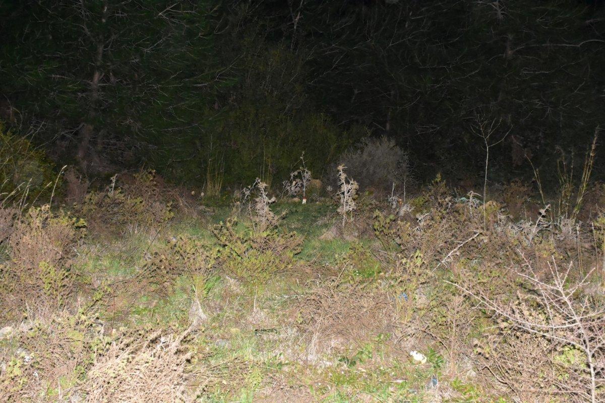 İzmir'de 20 yaşındaki genç kadının cesedi ormanda bulundu