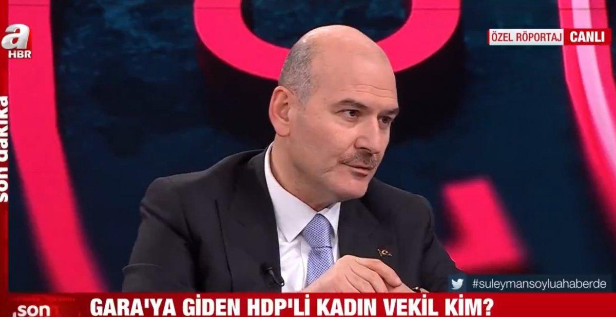 Bakan Soylu: Gara'ya giden HDP Ağrı Milletvekili Dirayet Dilan Taşdemir