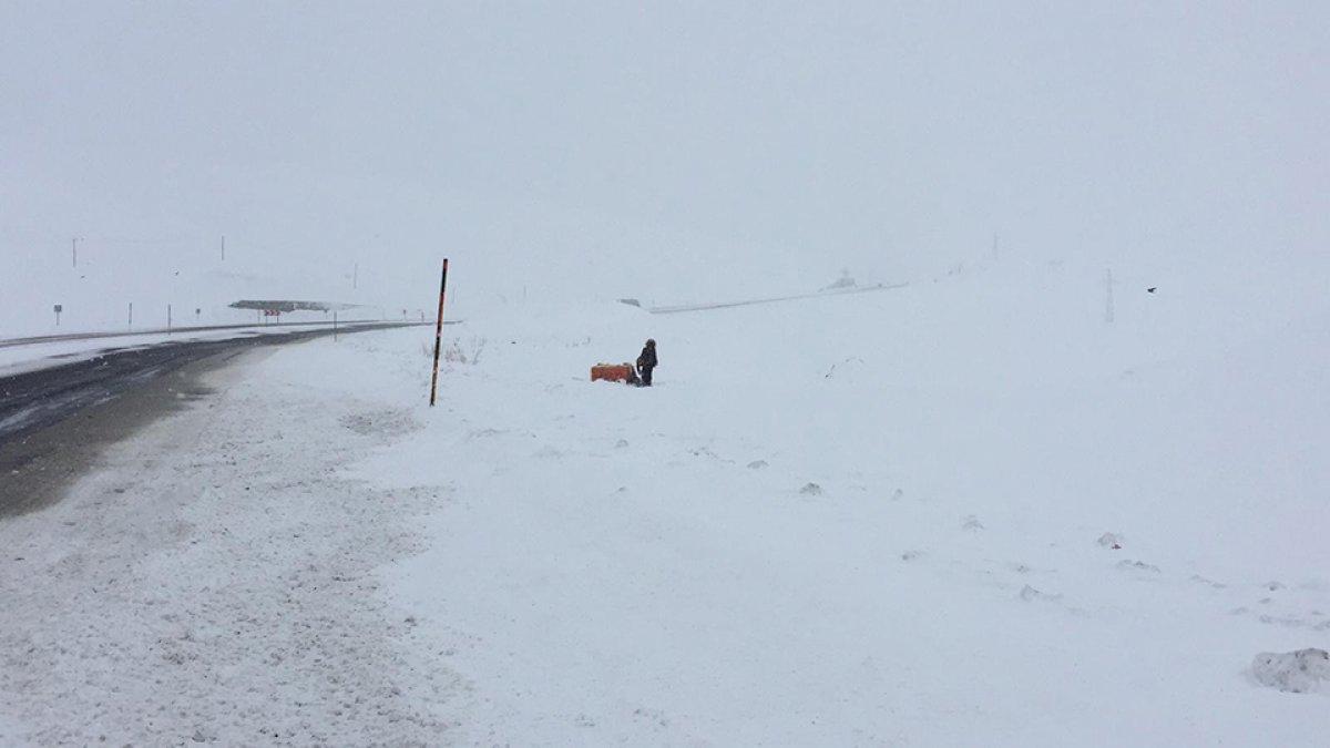Bingöl'de yol kenarındaki yavru köpekler için kulübe yaptılar