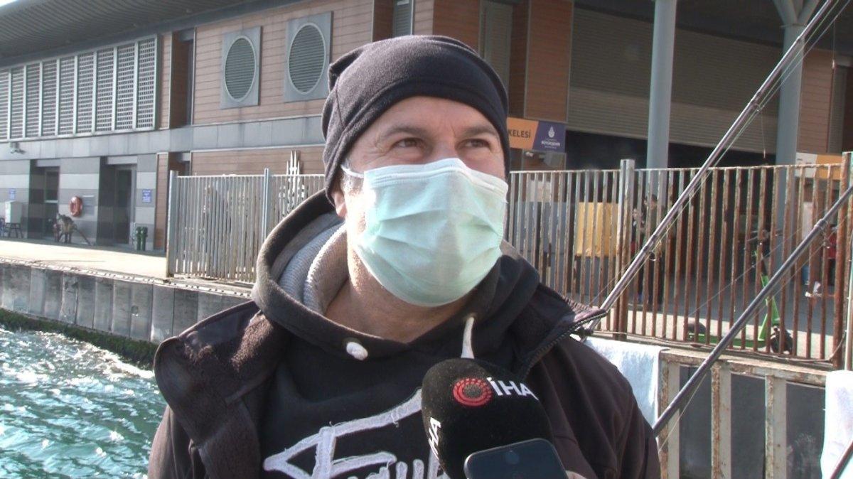 İstanbul'da ölü yunus karaya vurdu