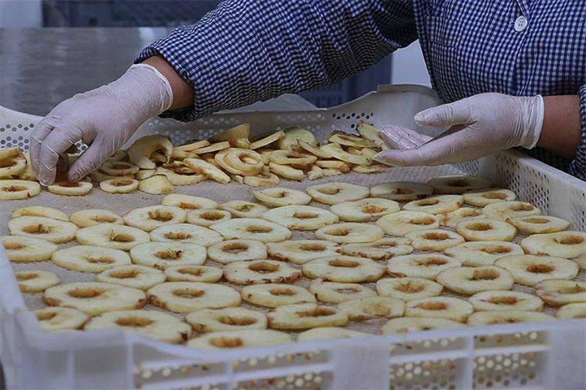 Meyve ve sebze kurutma tesisi