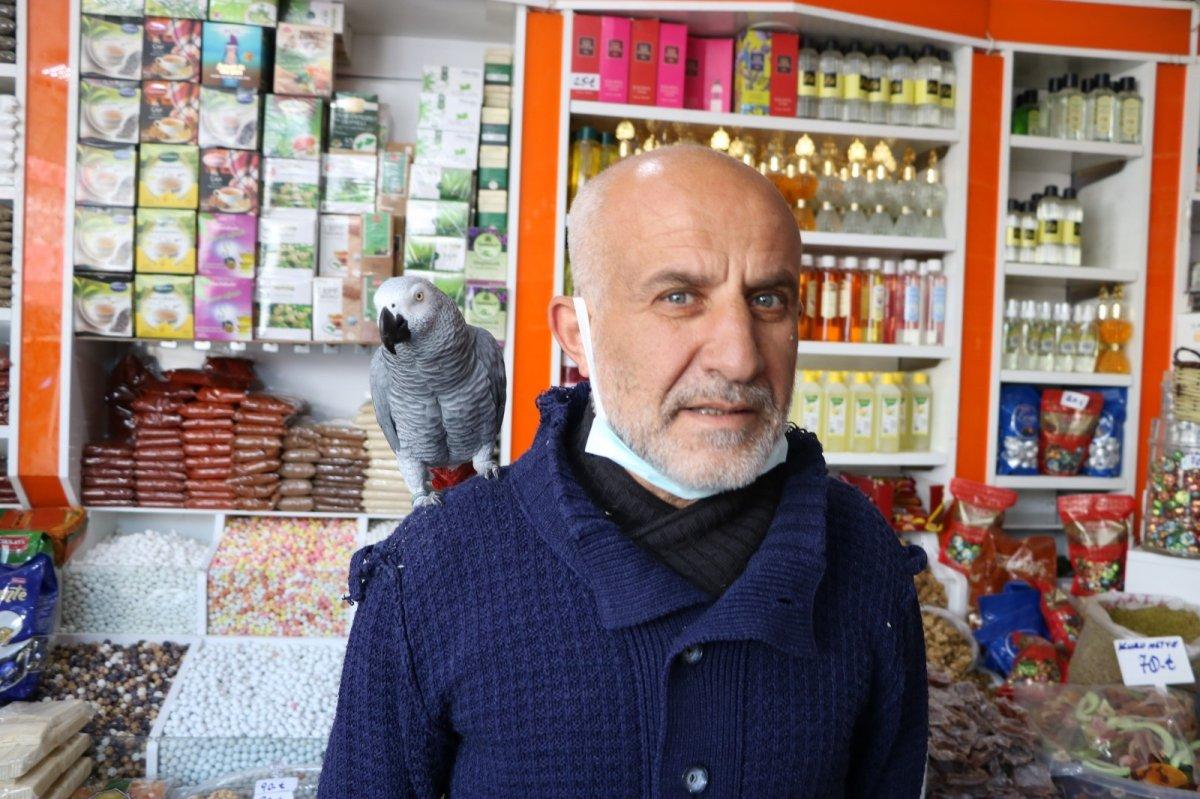 Niğde'deki papağan, İhlas Suresi'ni okuyor