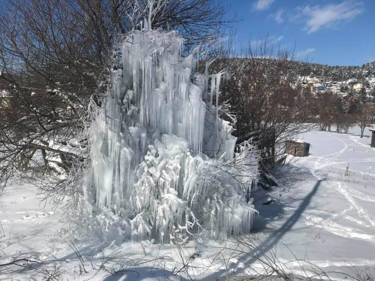 Tokat'ta patlayan su borusu ağaca dönüştü