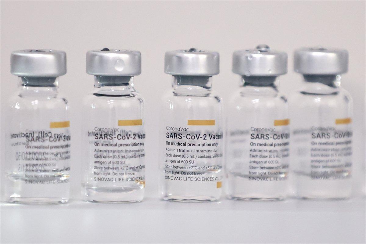 Türkiye'de korona aşı kampanyasında son durum