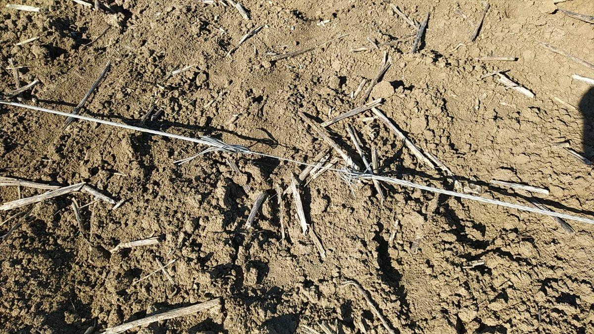 Adana'da kopan elektrik telini kesmeye çalıştı