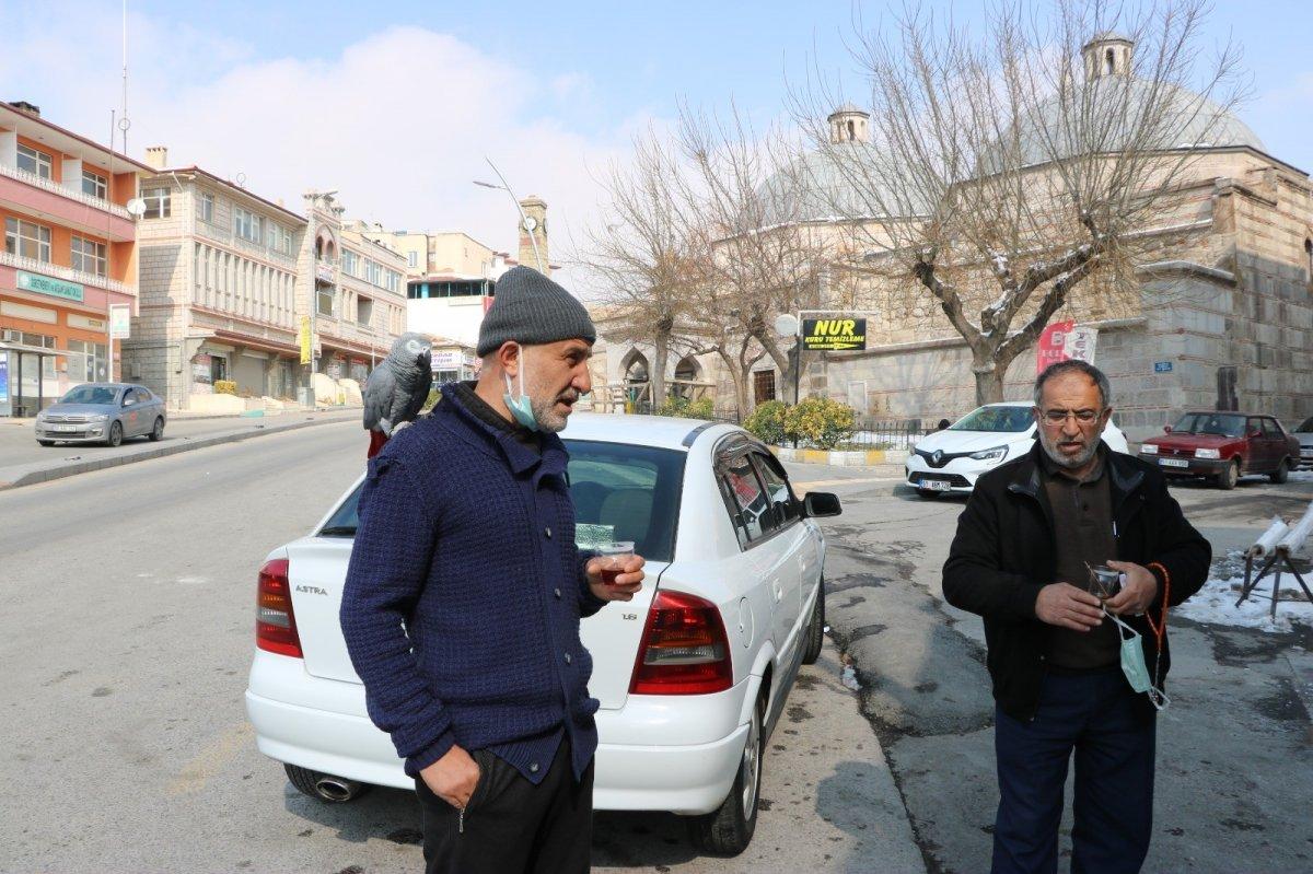 Niğde'deki papağan, İhlas Suresi'ni okuyor