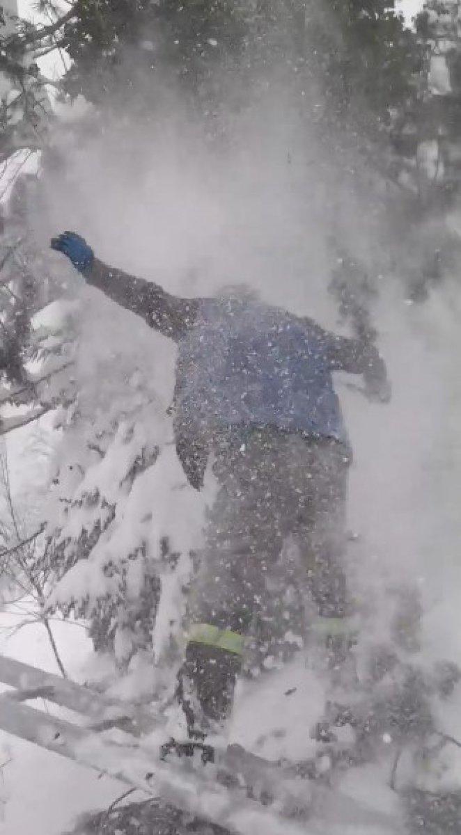 Kastamonu'da ağaç kesen muhtarın düşme anı kamerada