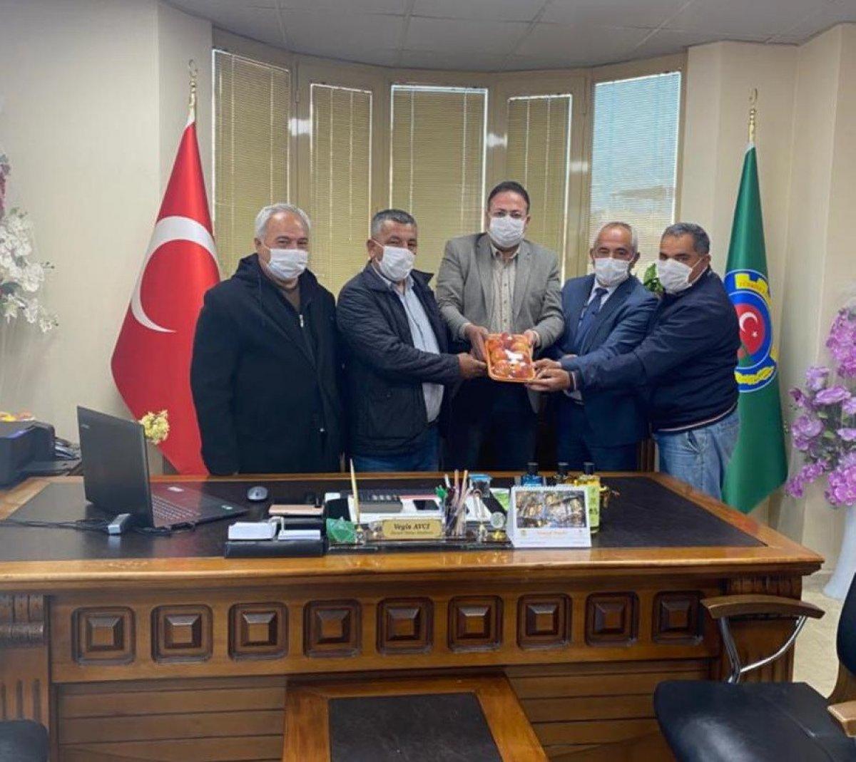 Şeftali hasadı yapıldı