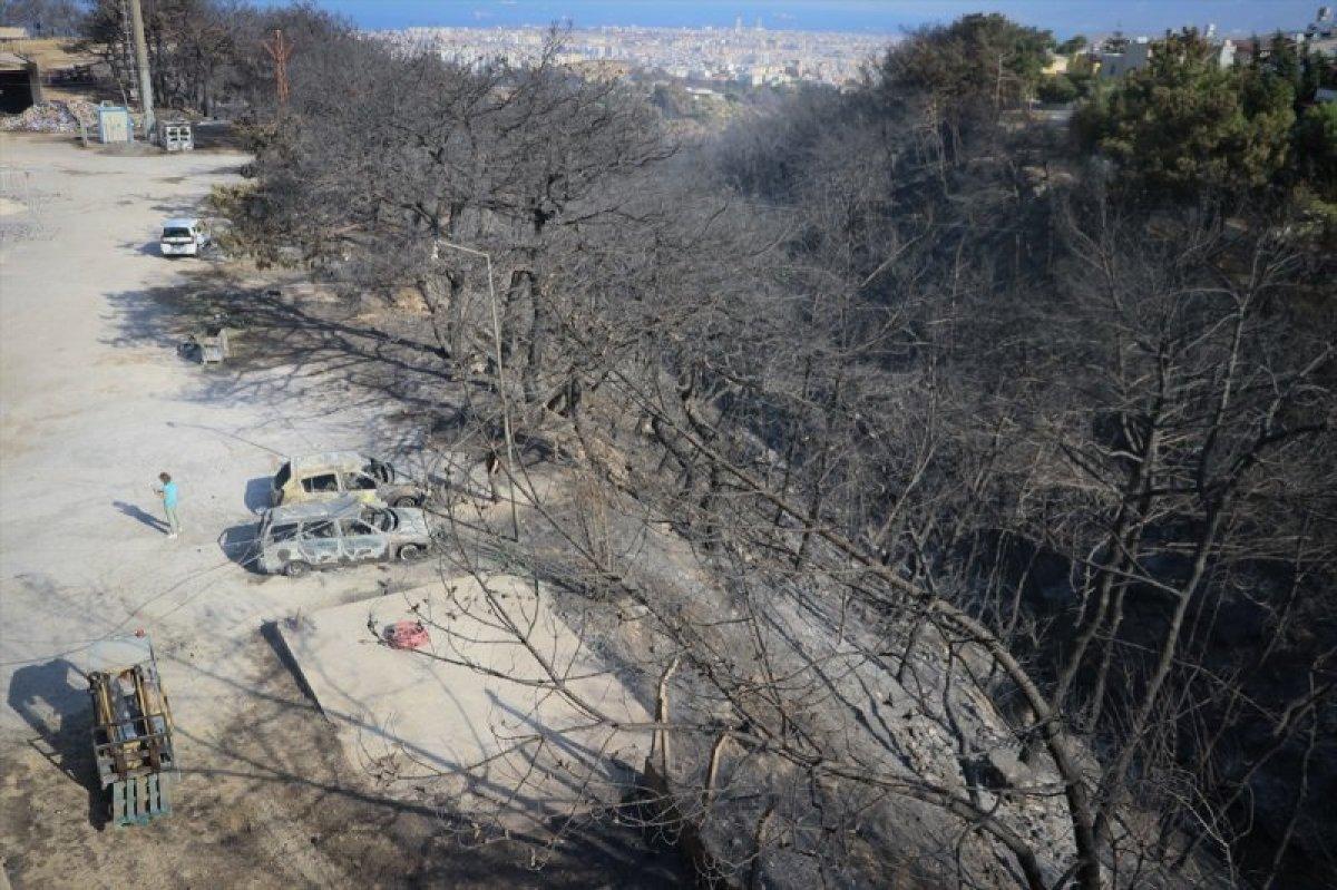 PKK'ya orman yakma talimatı veren terörist öldürüldü