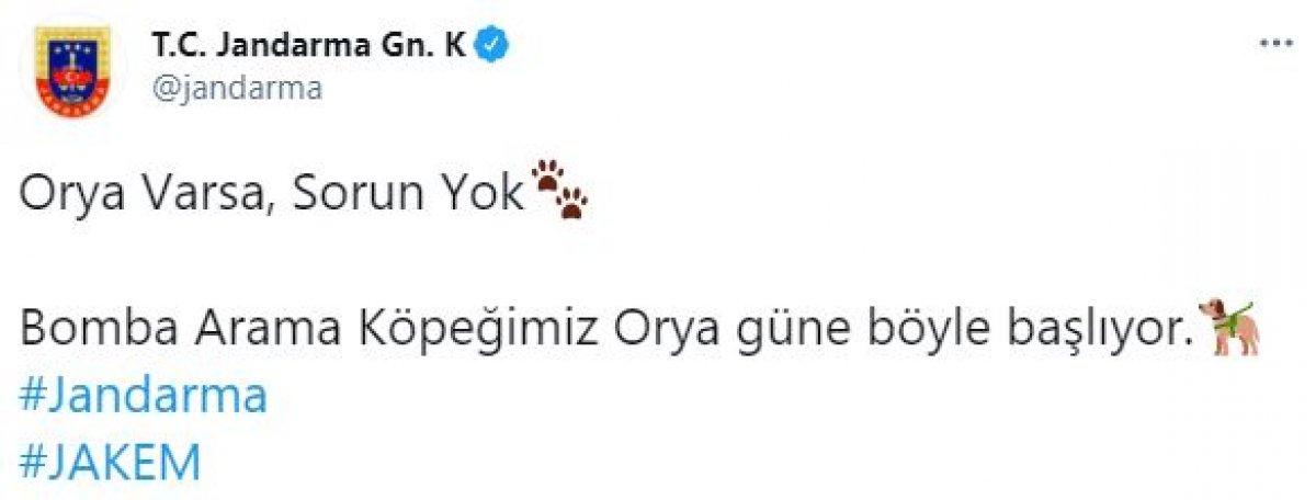 Bomba arama köpeği Orya'nın eğitim görüntüleri