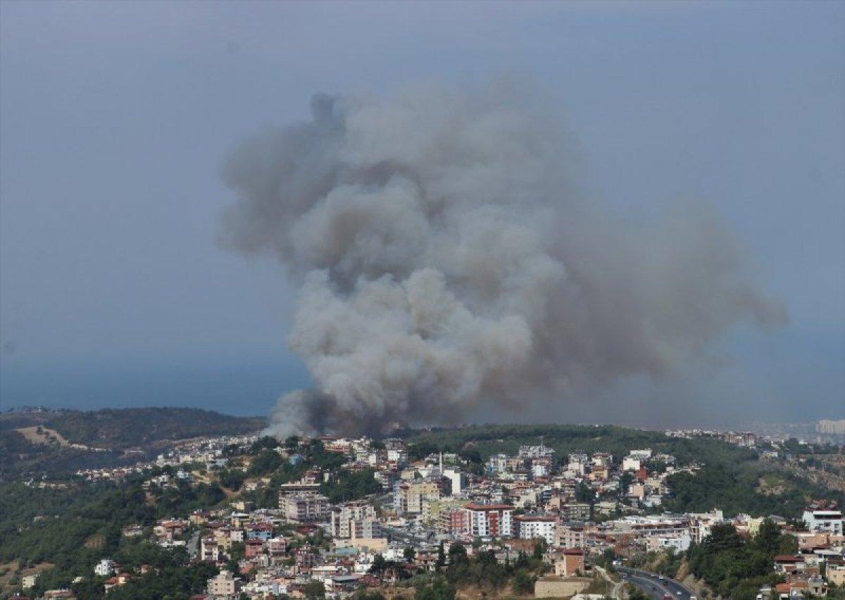 PKK'ya orman yakma talimatı veren terörist öldürüldü
