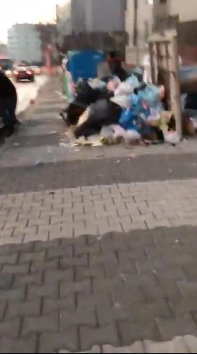 Maltepe'deki çöp konteynerleri etrafa taştı