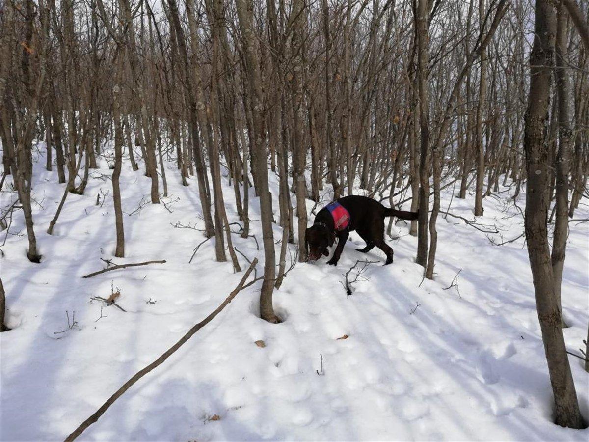 Bitlis ve Siirt'te Eren-11 Sehi Ormanları Operasyonu başlatıldı