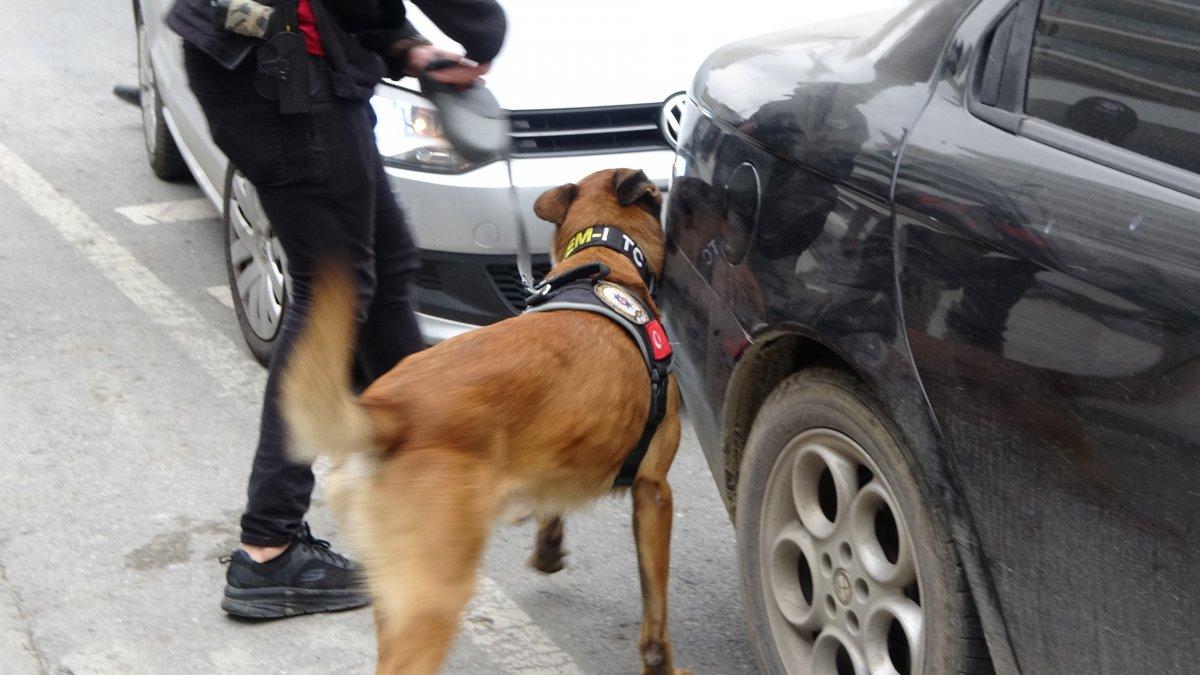 İstanbul'da polislerin gövde gösterisini turistler hayranlıkla izledi