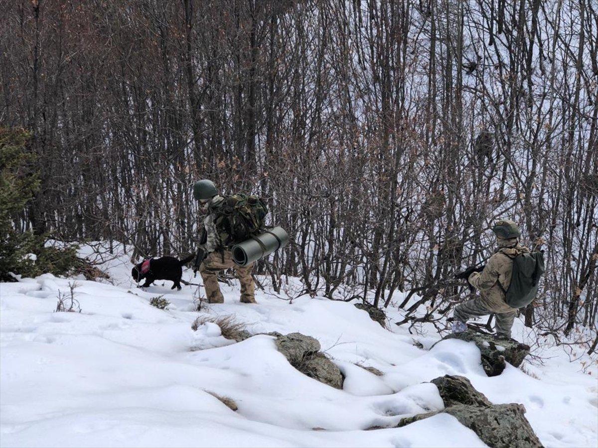 Bitlis ve Siirt'te Eren-11 Sehi Ormanları Operasyonu başlatıldı