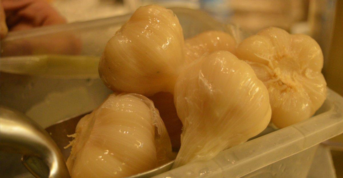 Sarımsak turşusunun faydaları nelerdir, neye iyi gelir? Sarımsak turşusu nasıl yapılır?