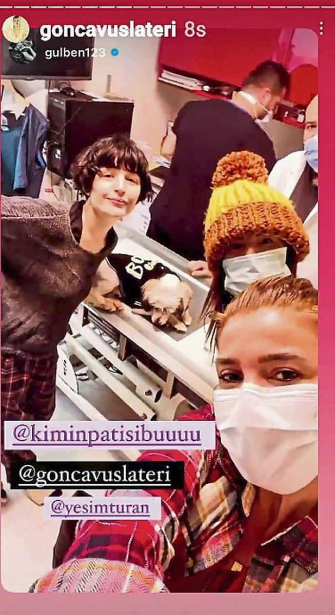 Gonca Vuslateri, Gülben Ergen'e köpek buldu