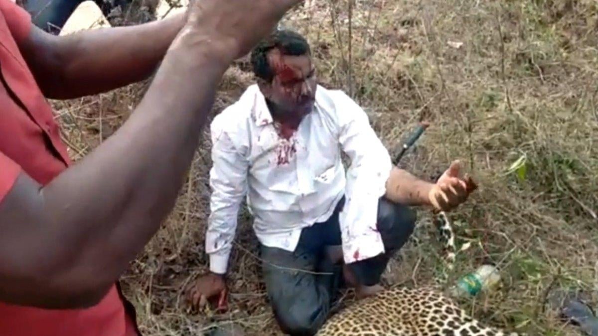 Hindistan'da bir baba, kızı için leoparı elleri ile öldürdü