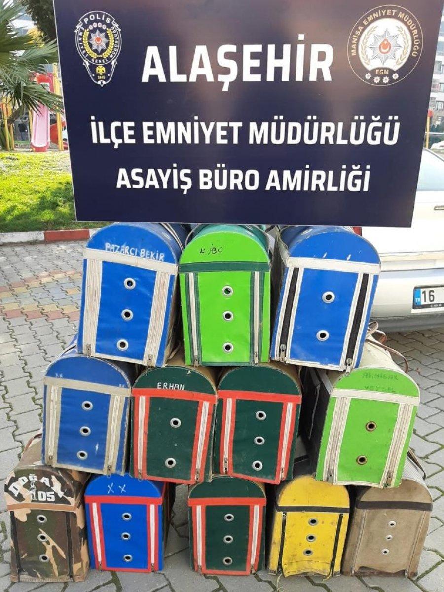 Manisa'da horoz dövüştüren 34 kişiye ceza