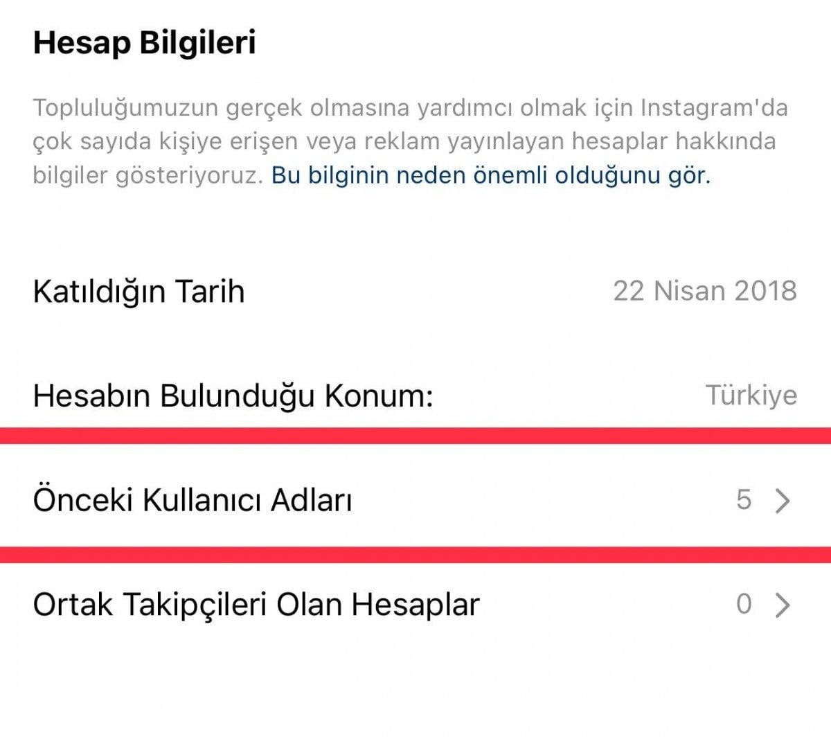 Instagram eski kullanıcı adı nasıl, nereden bulunur? Instagram'da önceki kullanıcı adını görme 2021