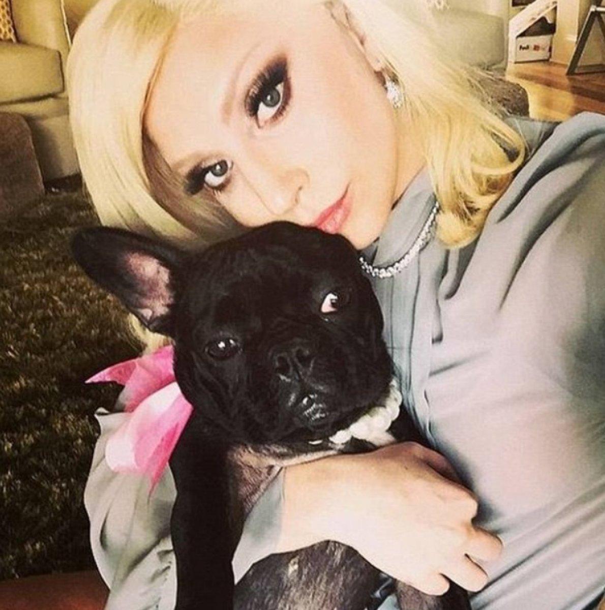 Lady Gaga'nın köpekleri çalındı