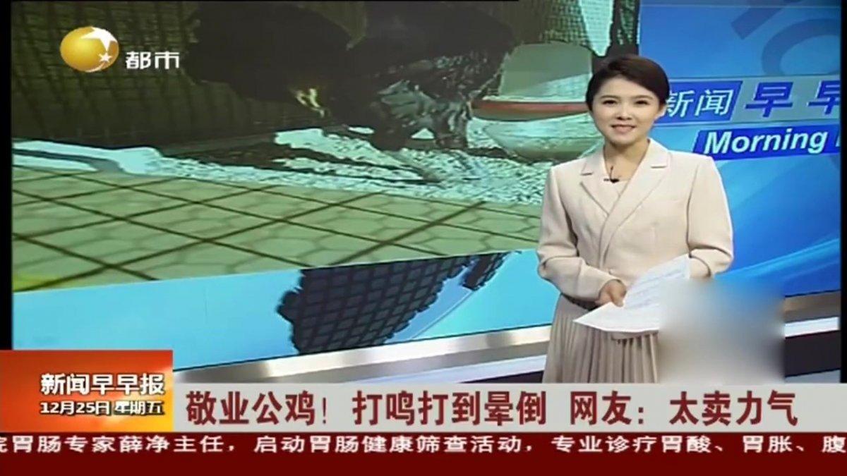 Denizli horozunun ünü dünyaya ulaştı